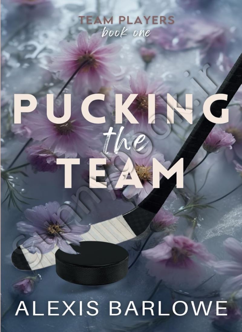 Pucking the Team (Team Players Book 1) main 1 1