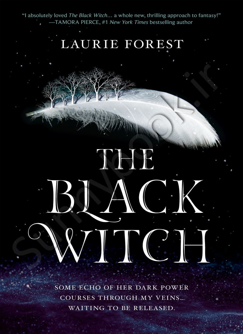 The Black Witch (The Black Witch Chronicles 1) main 1 1