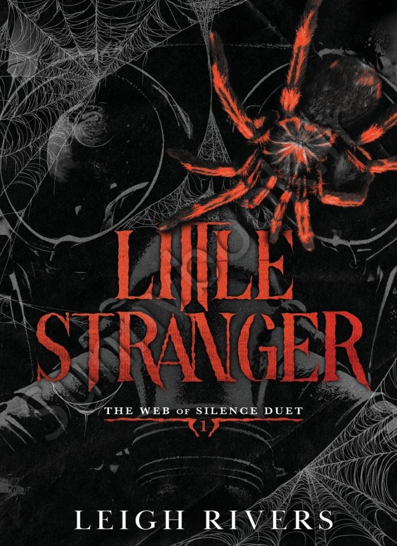 Little Stranger (The Web of Silence Duet 1) main 1 1