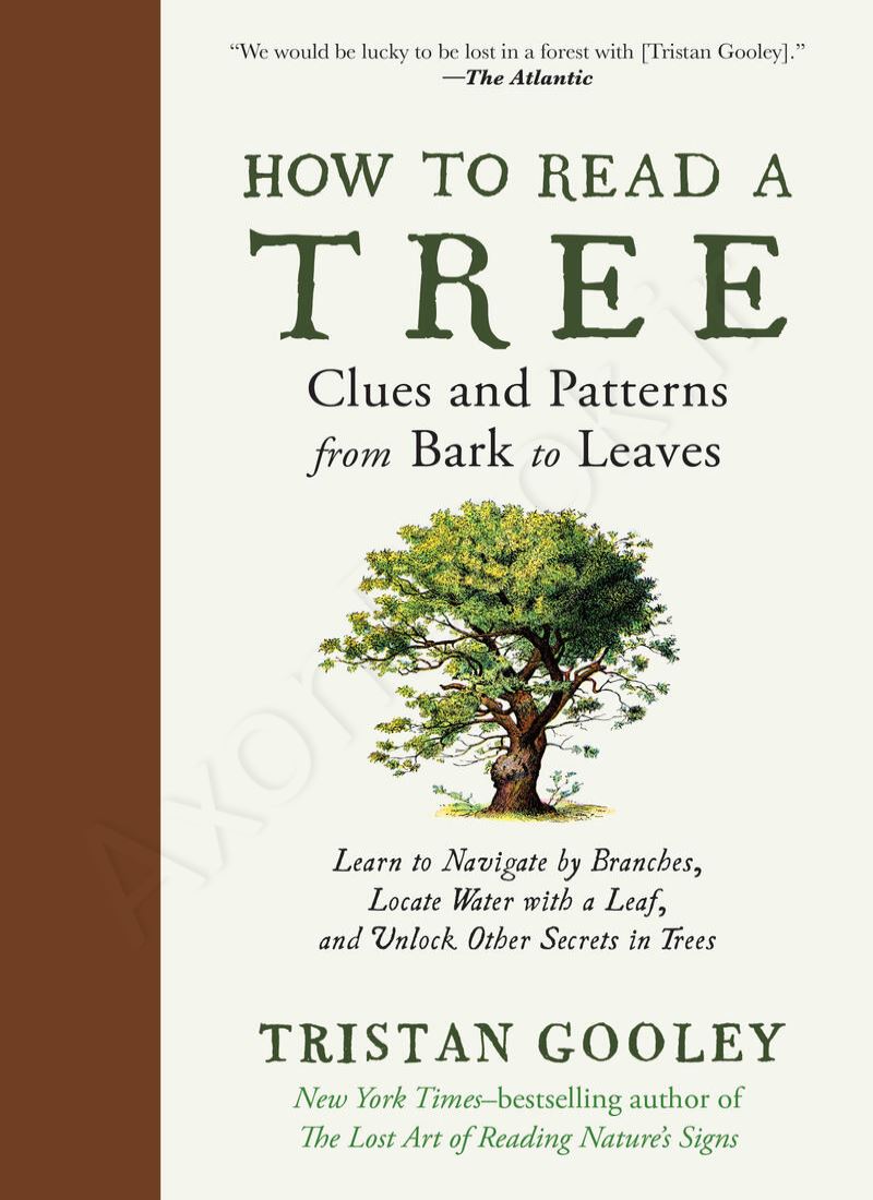 How to Read a Tree main 1 1