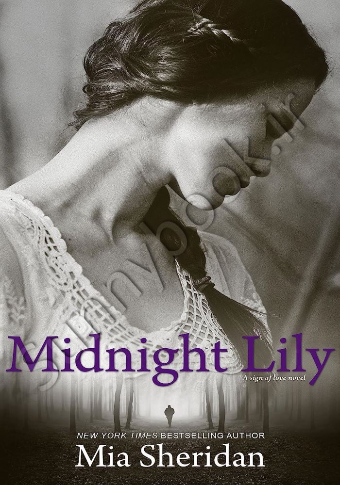 Midnight Lily main 1 1