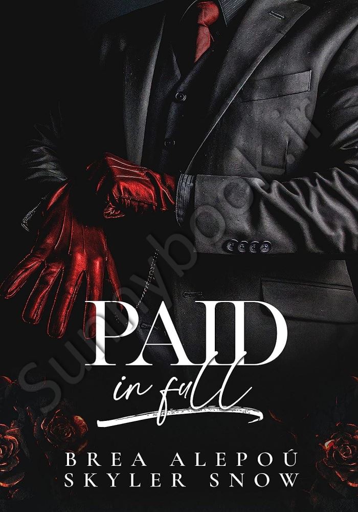 Paid In Full (Vitale Brothers Book 2) main 1 1