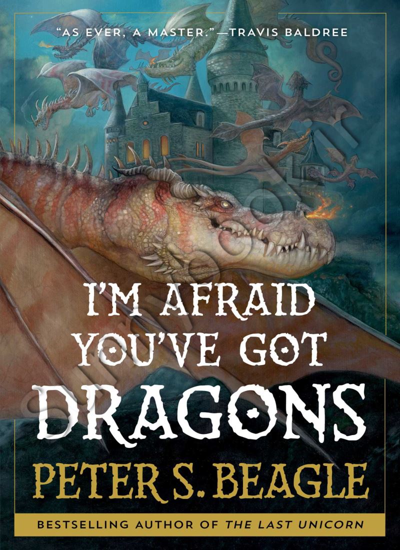 I'm Afraid You've Got Dragons main 1 1