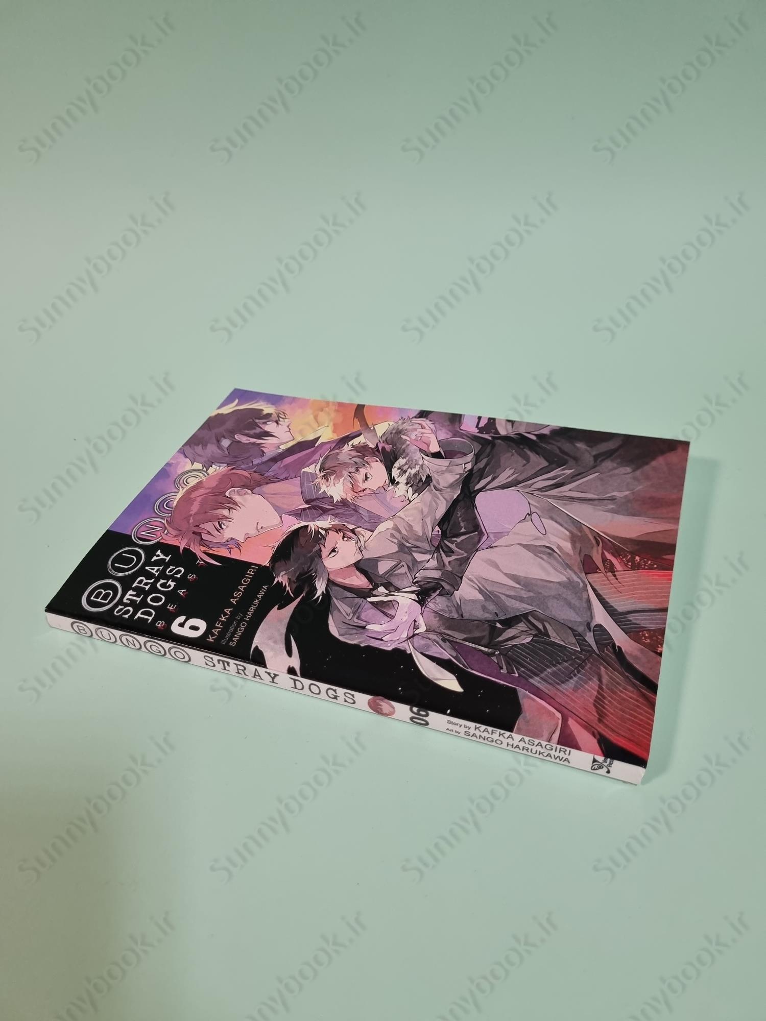 Bungo Stray Dogs, Vol. 6 (light novel) main 1 3