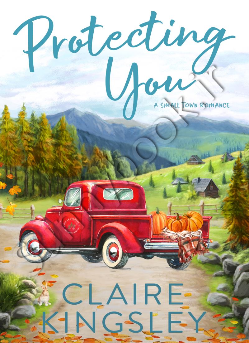 Protecting You (Bailey Brothers #1) main 1 1