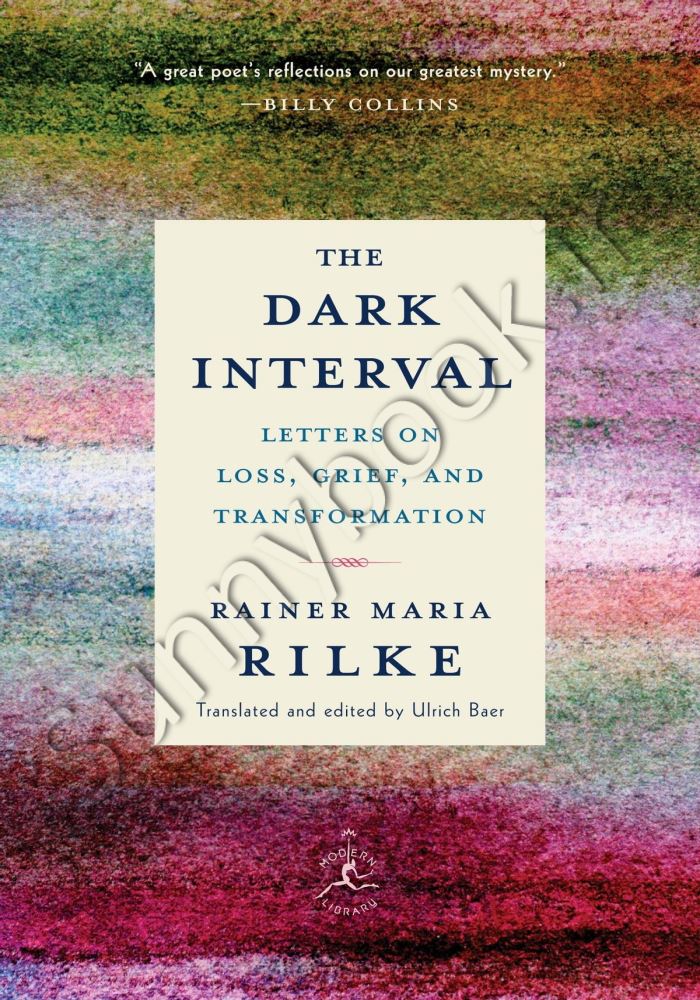 The Dark Interval: Letters on Loss, Grief, and Transformation main 1 1