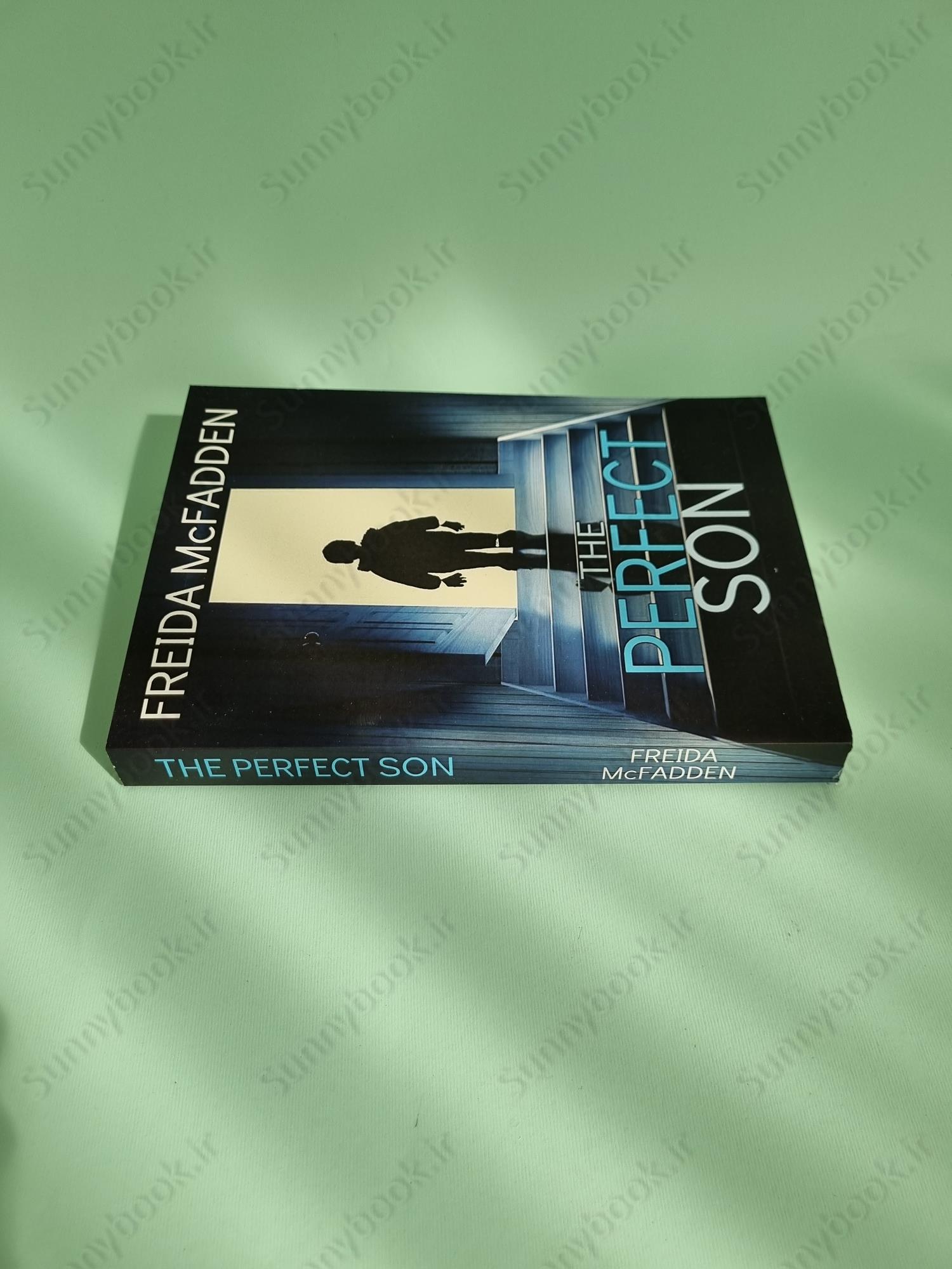 The Perfect Son main 1 4