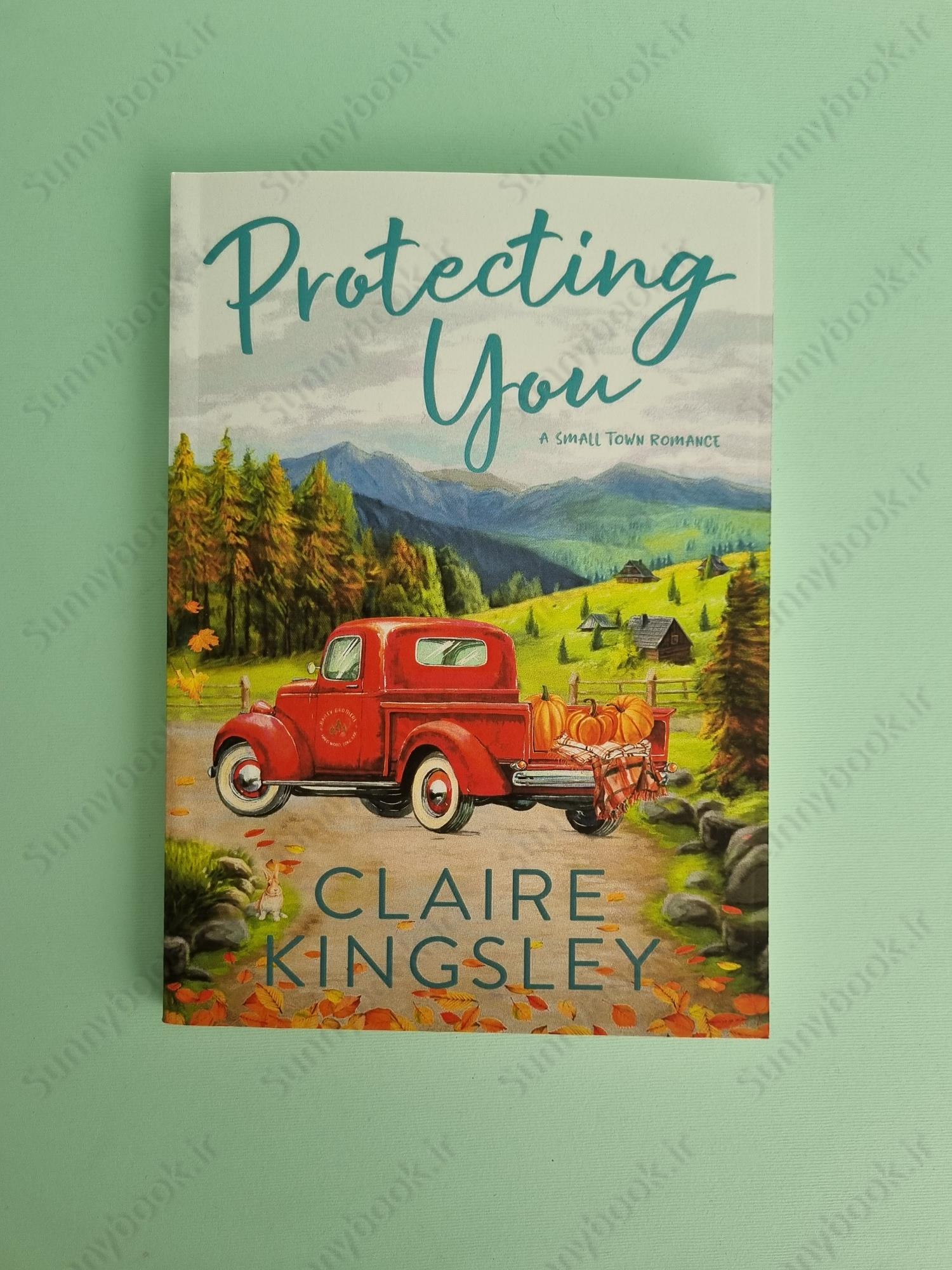 Protecting You (Bailey Brothers #1) main 1 2