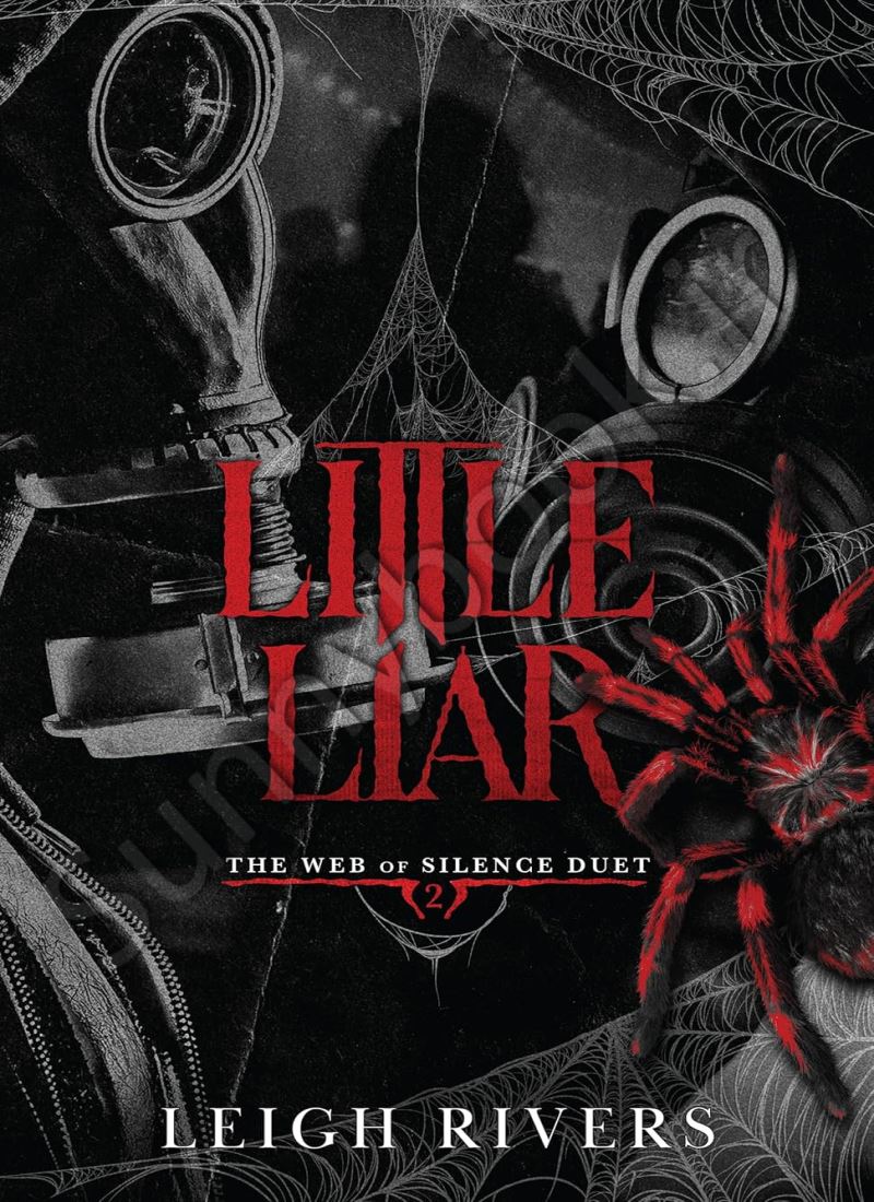 Little Liar (The Web of Silence Duet 2) main 1 1