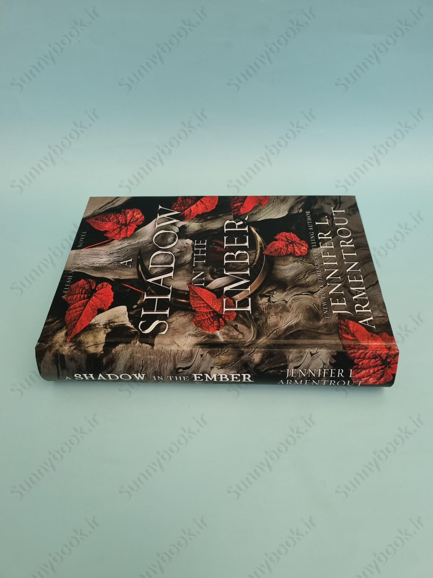 A Shadow in the Ember (Flesh and Fire 1) main 1 4