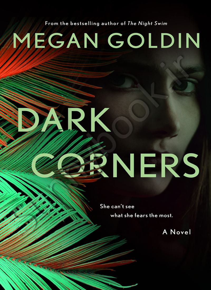 Dark Corners (Rachel Krall 2) main 1 1