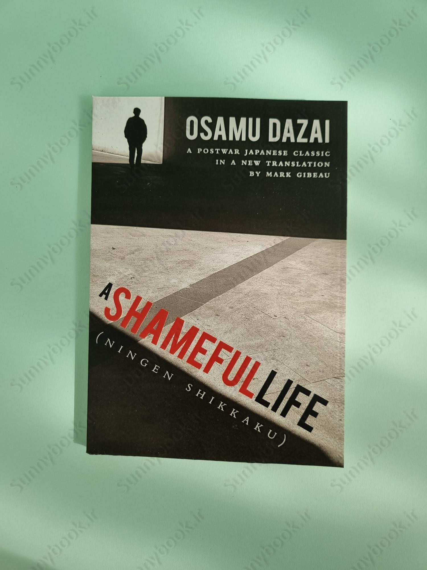 A Shameful Life main 1 2