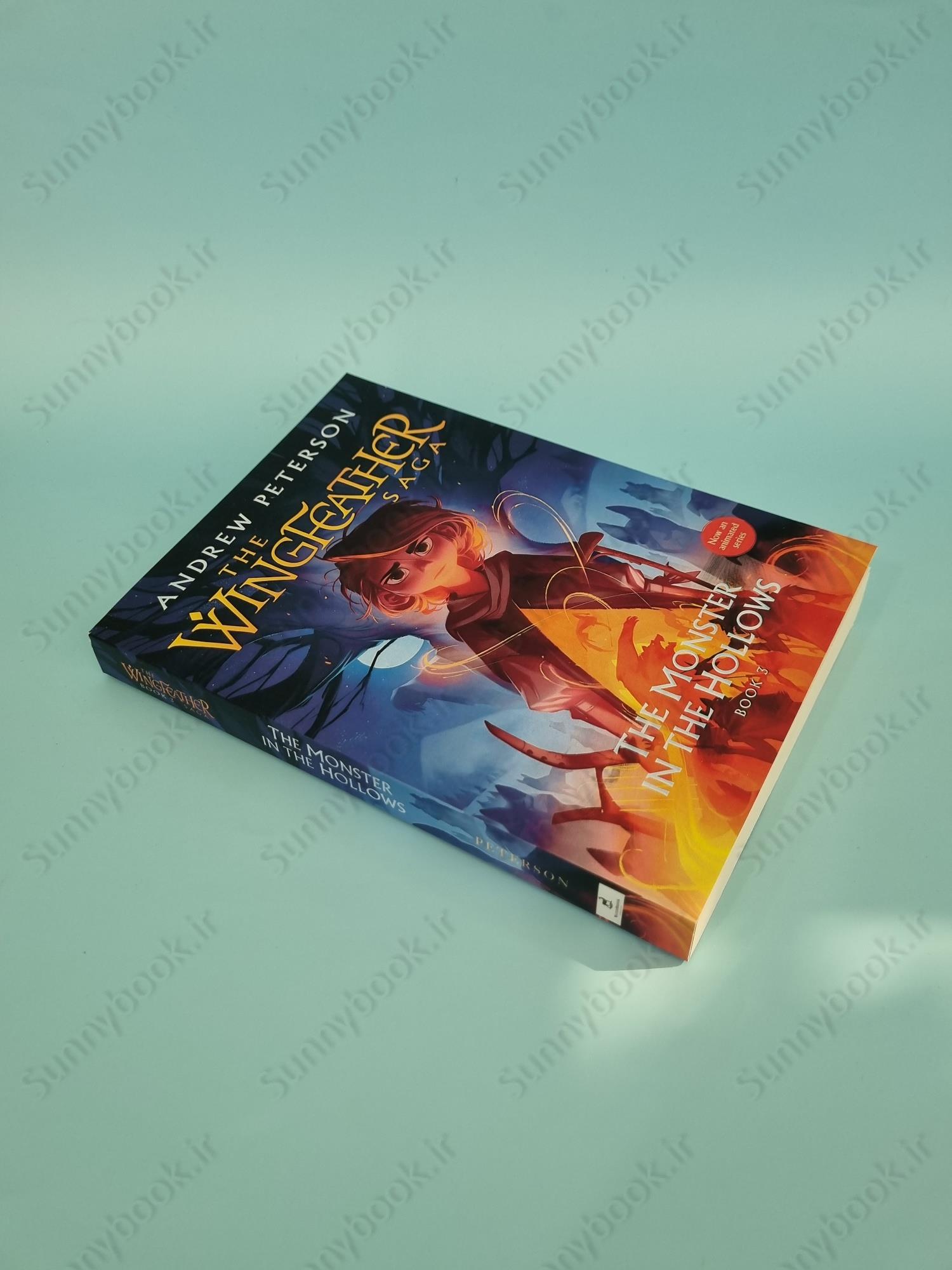 Monster in the Hollows: (Wingfeather Series 3) main 1 3