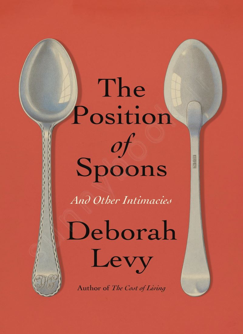 The Position of Spoons: And Other Intimacies Model.Title