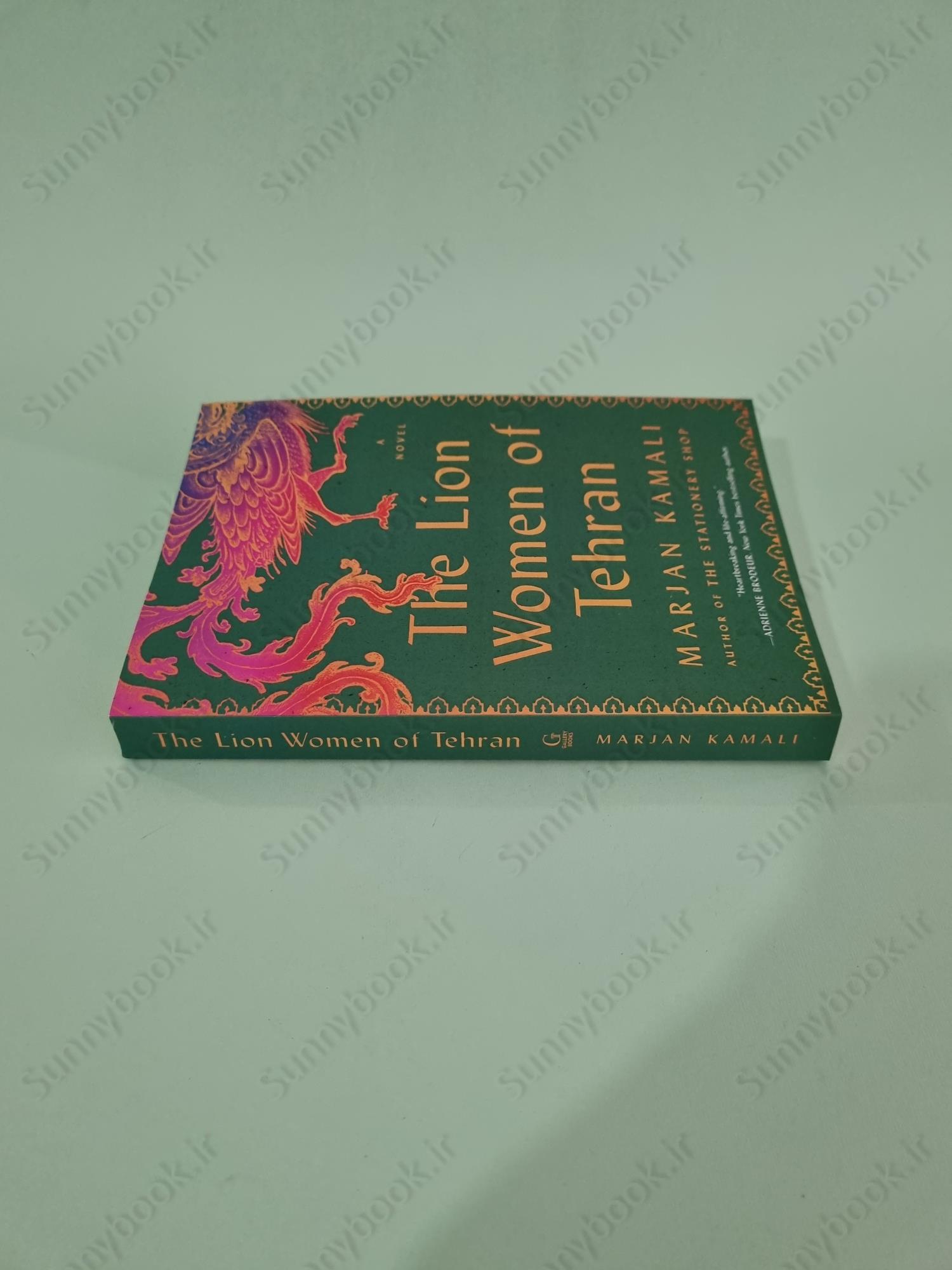 The Lion Women of Tehran main 1 4