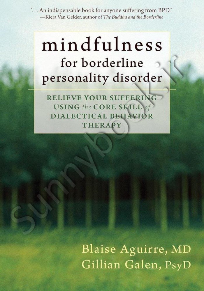 Mindfulness for Borderline Personality Disorder main 1 1