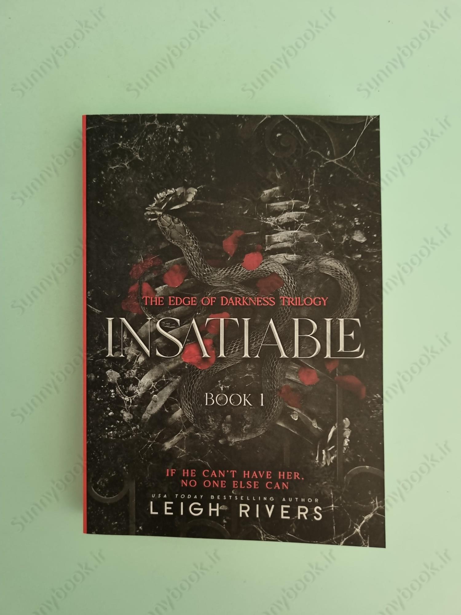 Insatiable (The Edge of Darkness 1) main 1 3