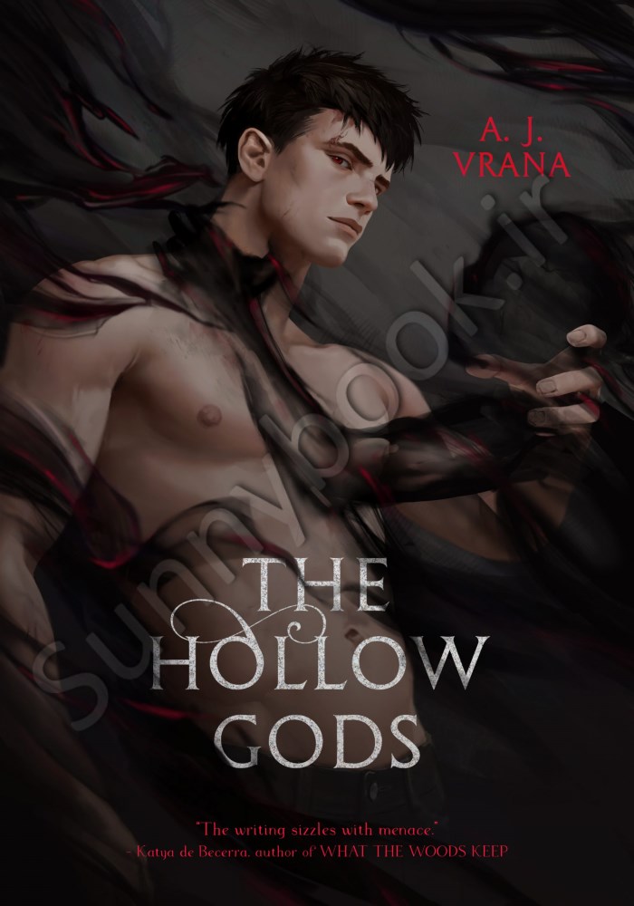 The Hollow Gods (The Chaos Cycle 1) main 1 1