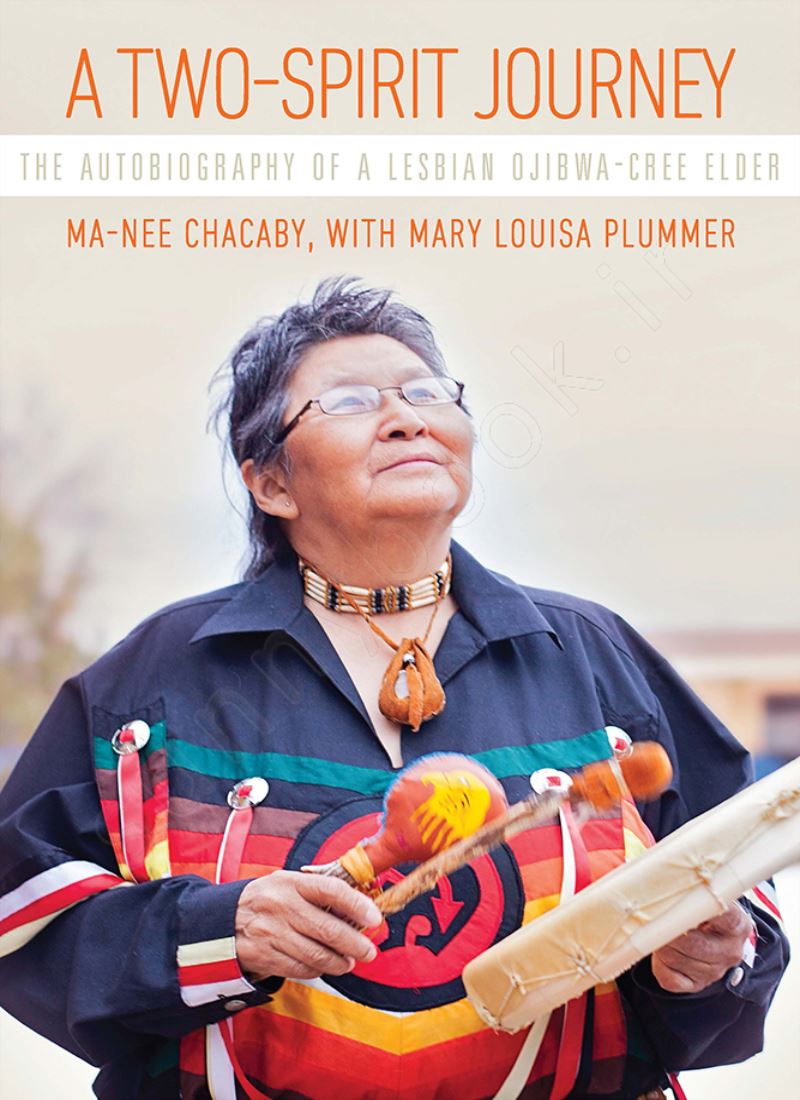 A Two-Spirit Journey Model.Title