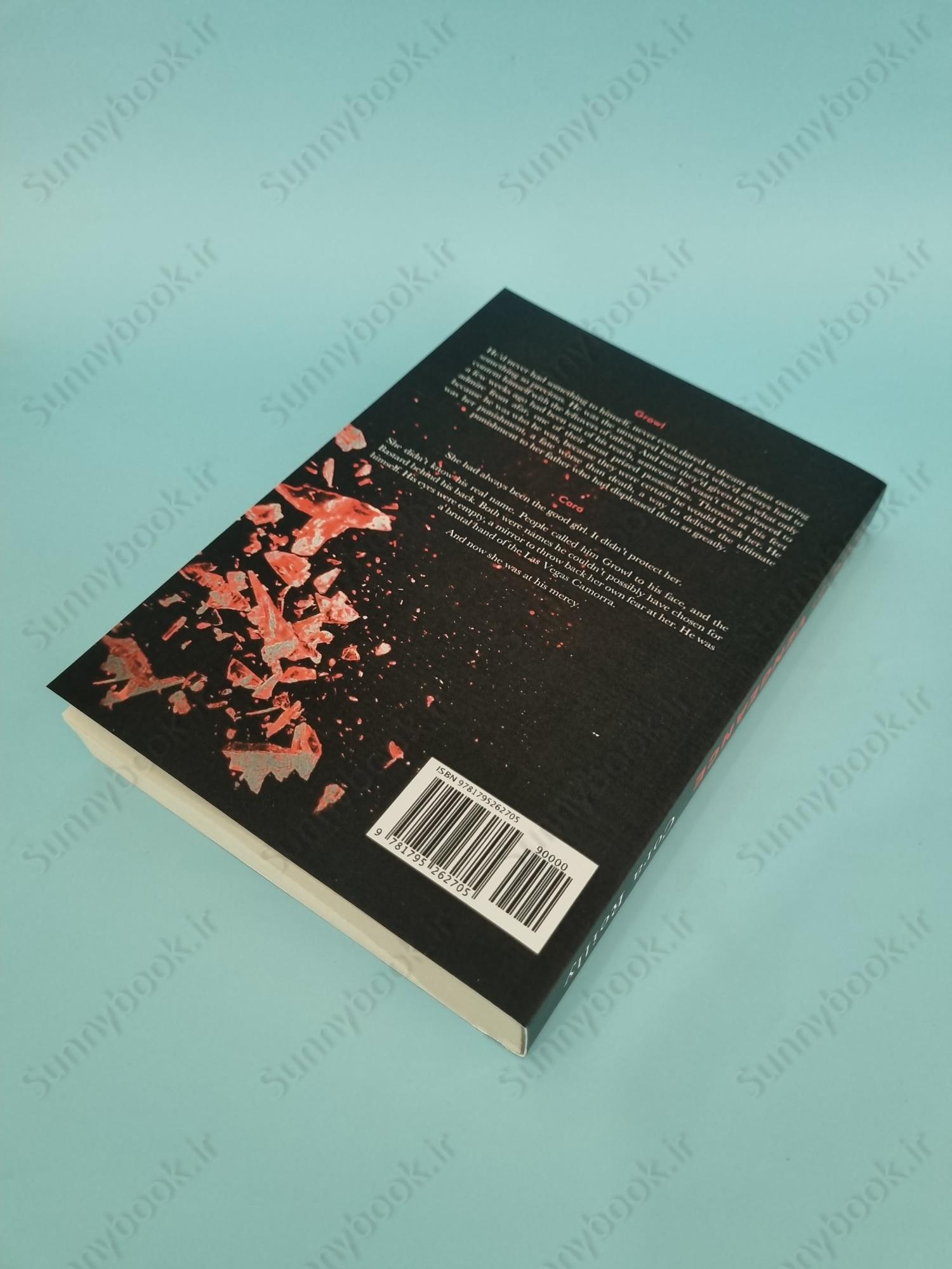 Bound by Vengeance (Born in Blood Mafia 5) main 1 4