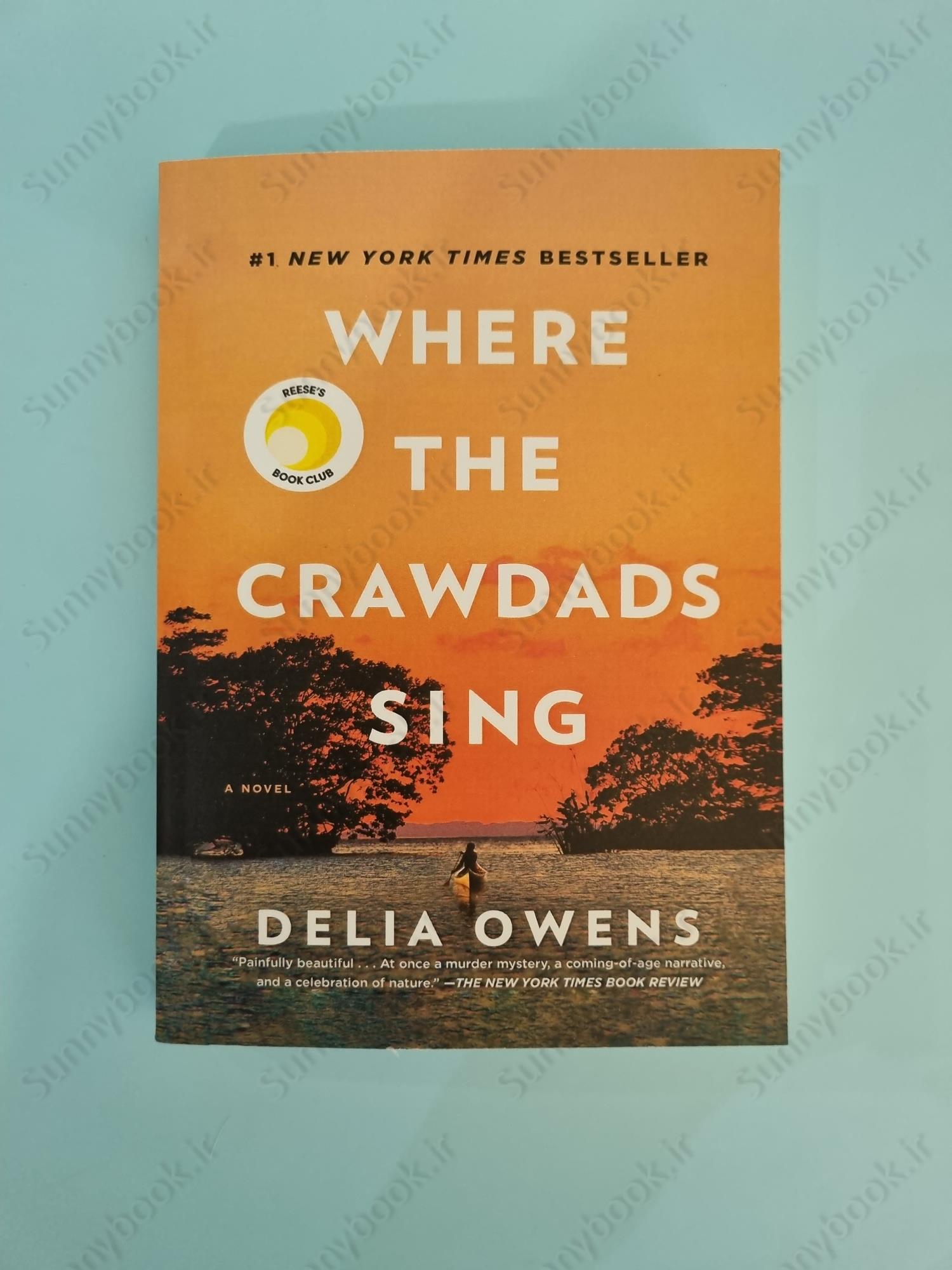 Where the Crawdads Sing main 1 2