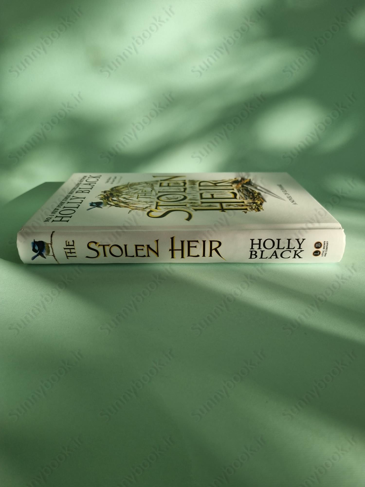 The Stolen Heir: A Novel of Elfhame (The Stolen Heir, 1) main 1 4