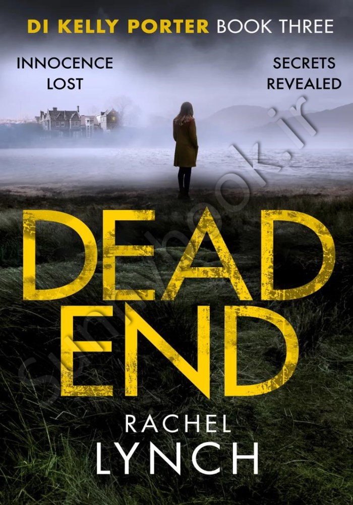 Dead End (DI Kelly Porter 3) main 1 1