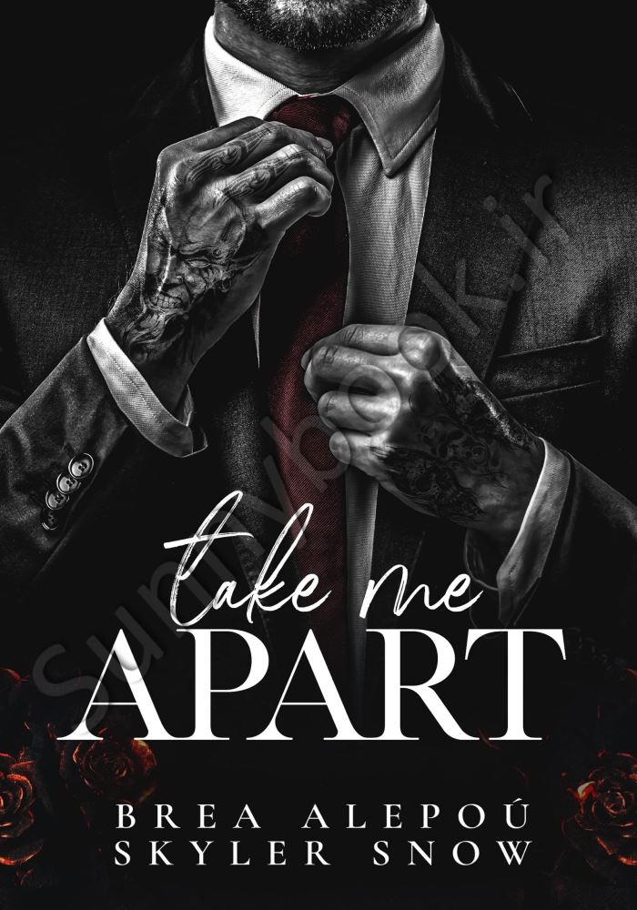 Take Me Apart (Vitale Brothers Book 1) main 1 1