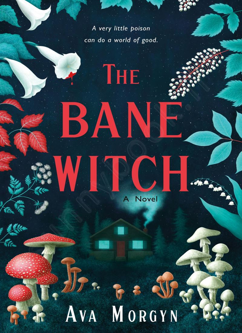 The Bane Witch main 1 1