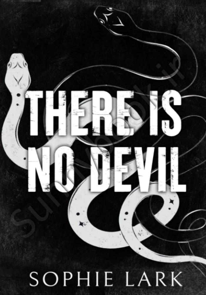 There Is No Devil (Sinners Duet Book 2) main 1 1