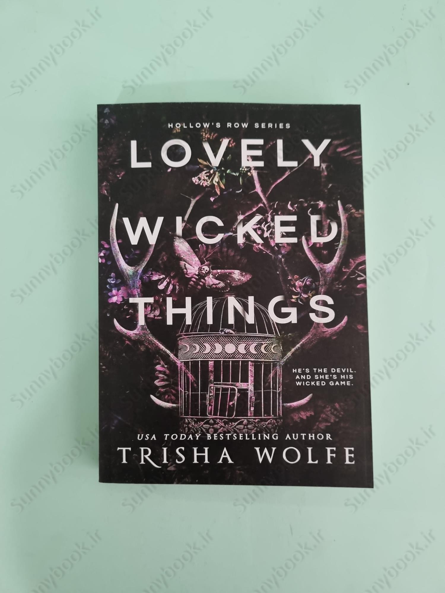 Lovely Wicked Things (Hollow's Row Book 3) main 1 2