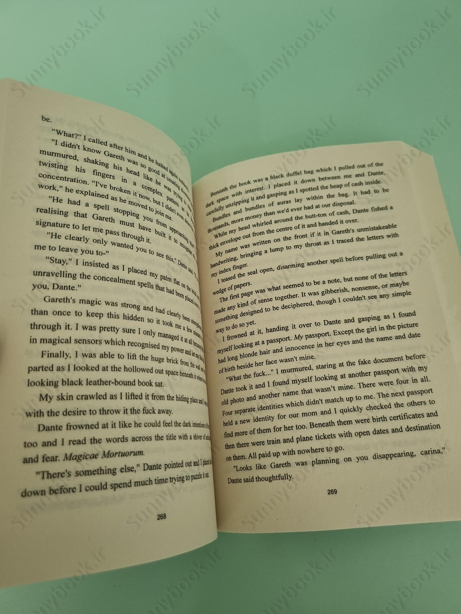 Broken Fae (Ruthless Boys of the Zodiac 4) main 1 5