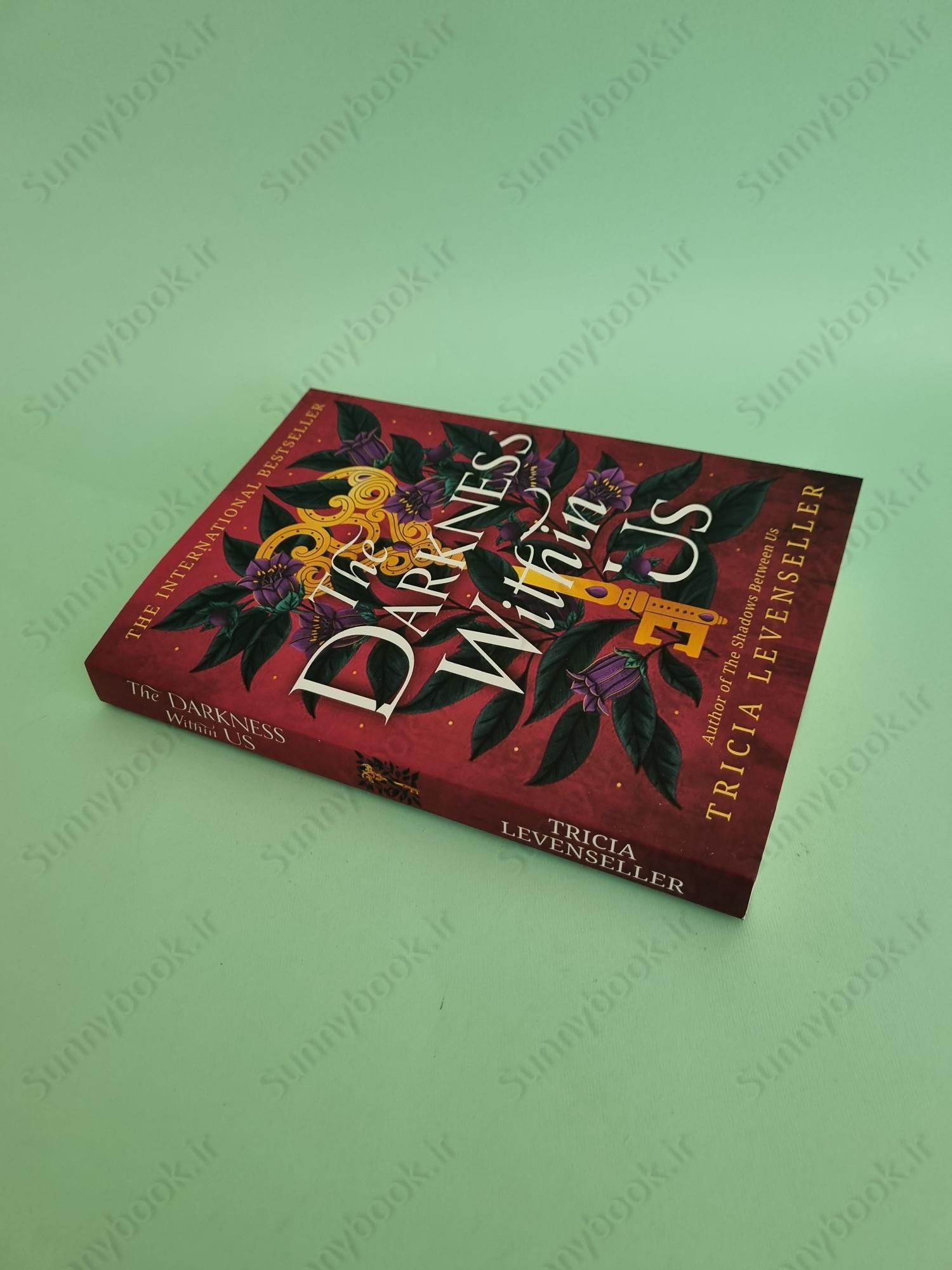 The Darkness Within Us (The Shadows Between Us Book2) main 1 3