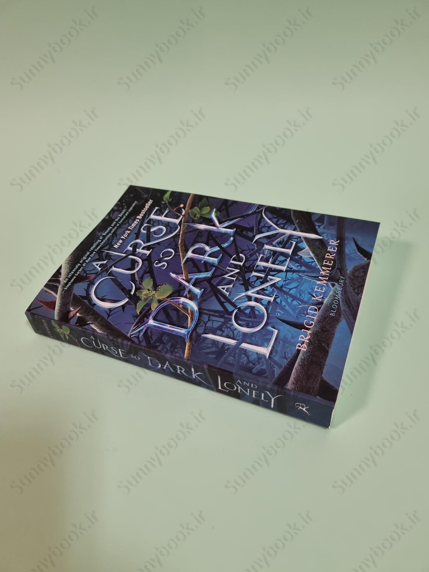 A Curse So Dark and Lonely (Cursebreakers 1) main 1 3