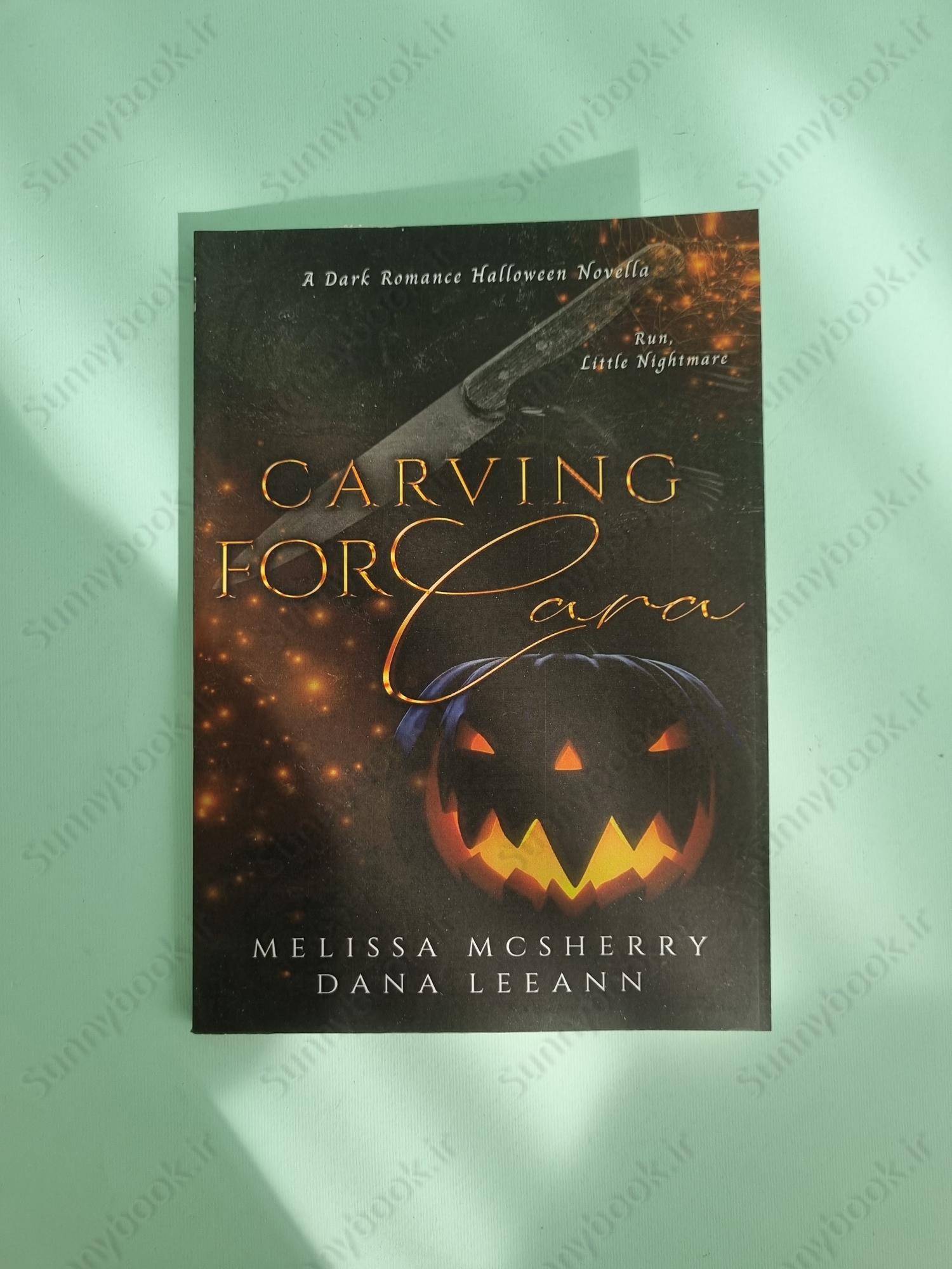 Carving for Cara (Wrecked Book 1) main 1 2