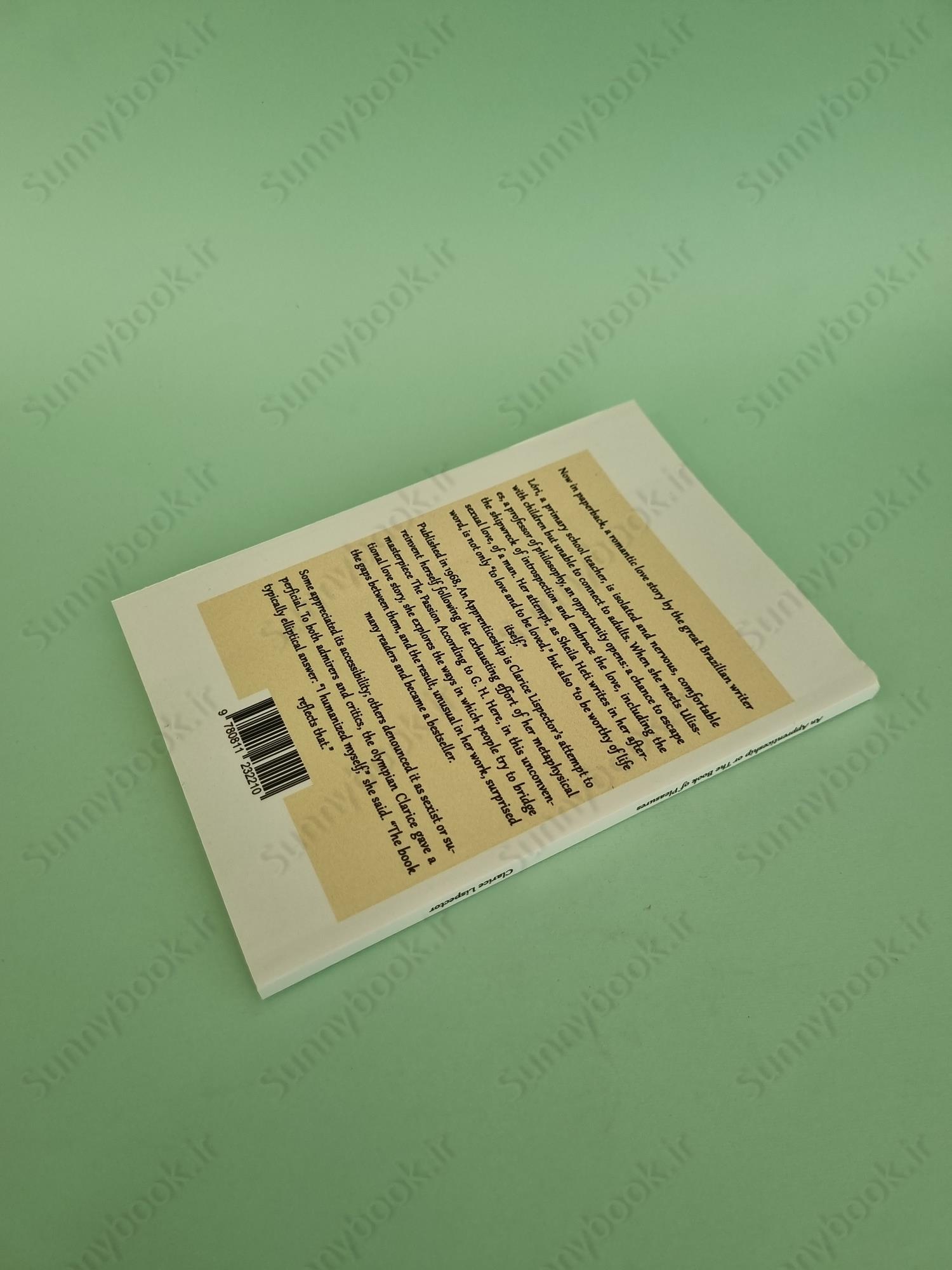 An Apprenticeship or The Book of Pleasures main 1 5