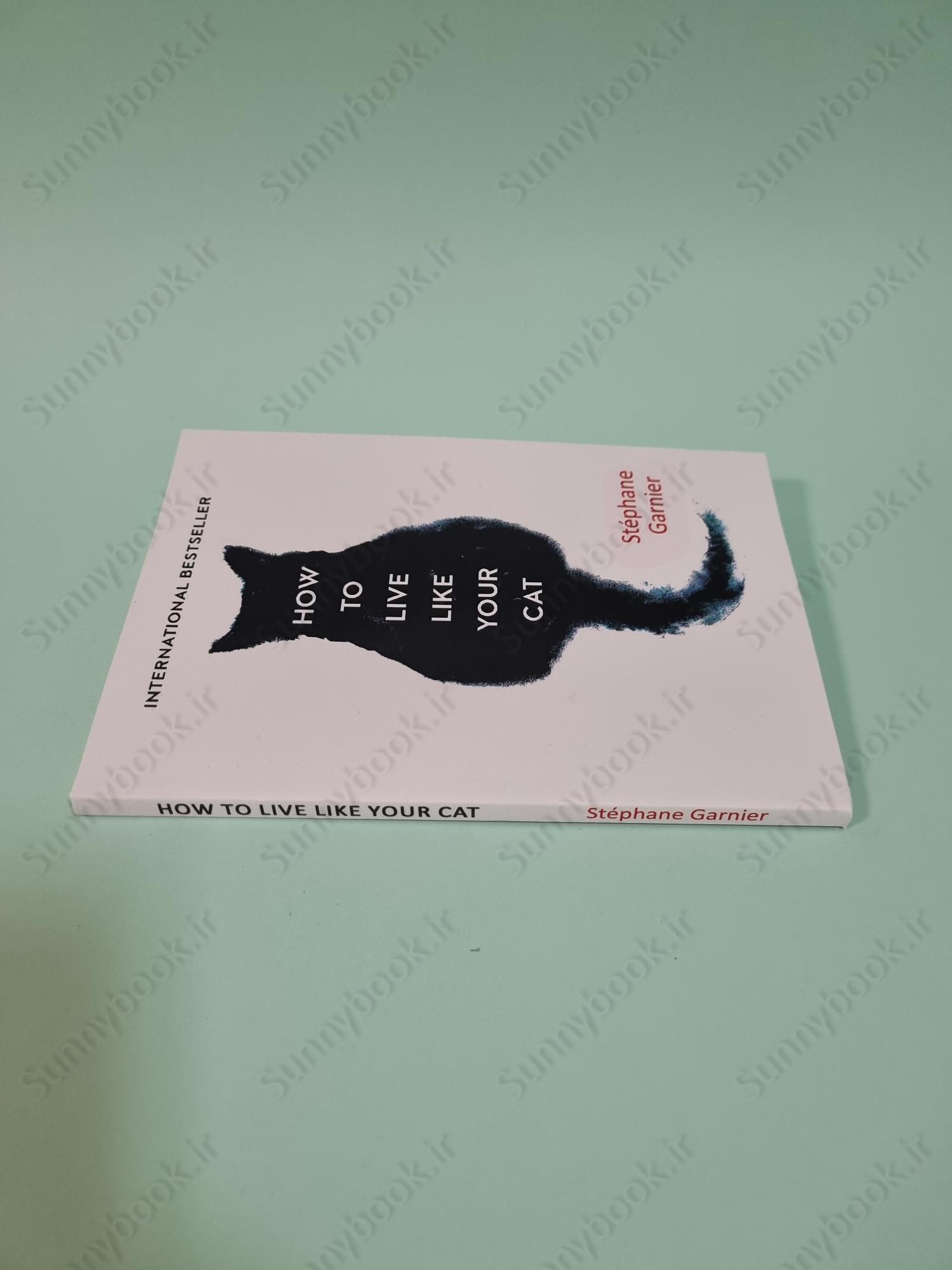 How to Live Like Your Cat main 1 4