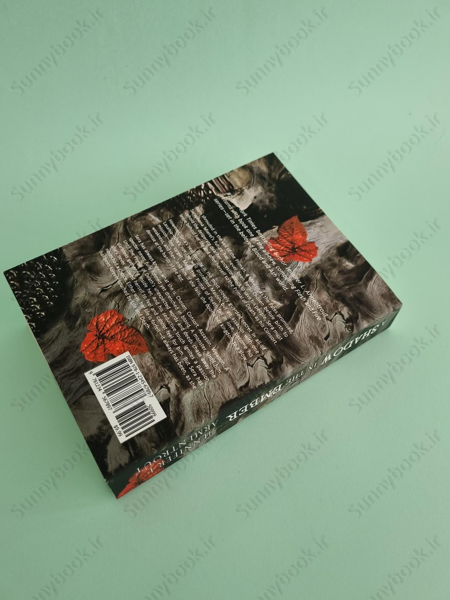 A Shadow in the Ember (Flesh and Fire 1) main 1 5