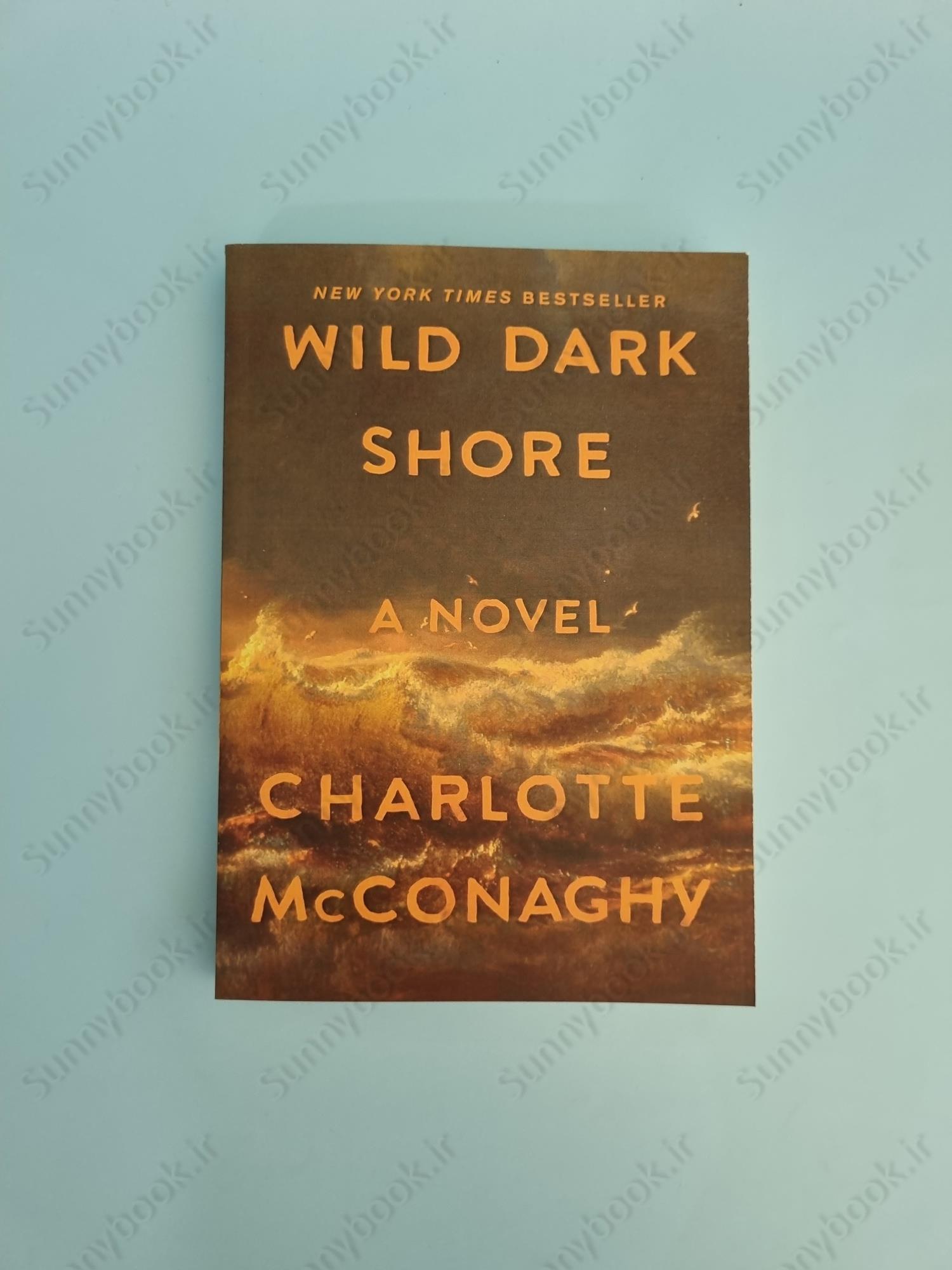 Wild Dark Shore main 1 2