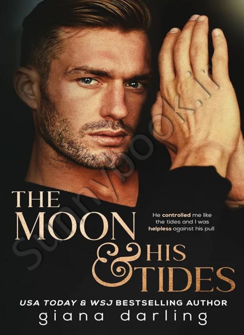 The Moon & His Tides (Impossible Universe Trilogy 1) main 1 1