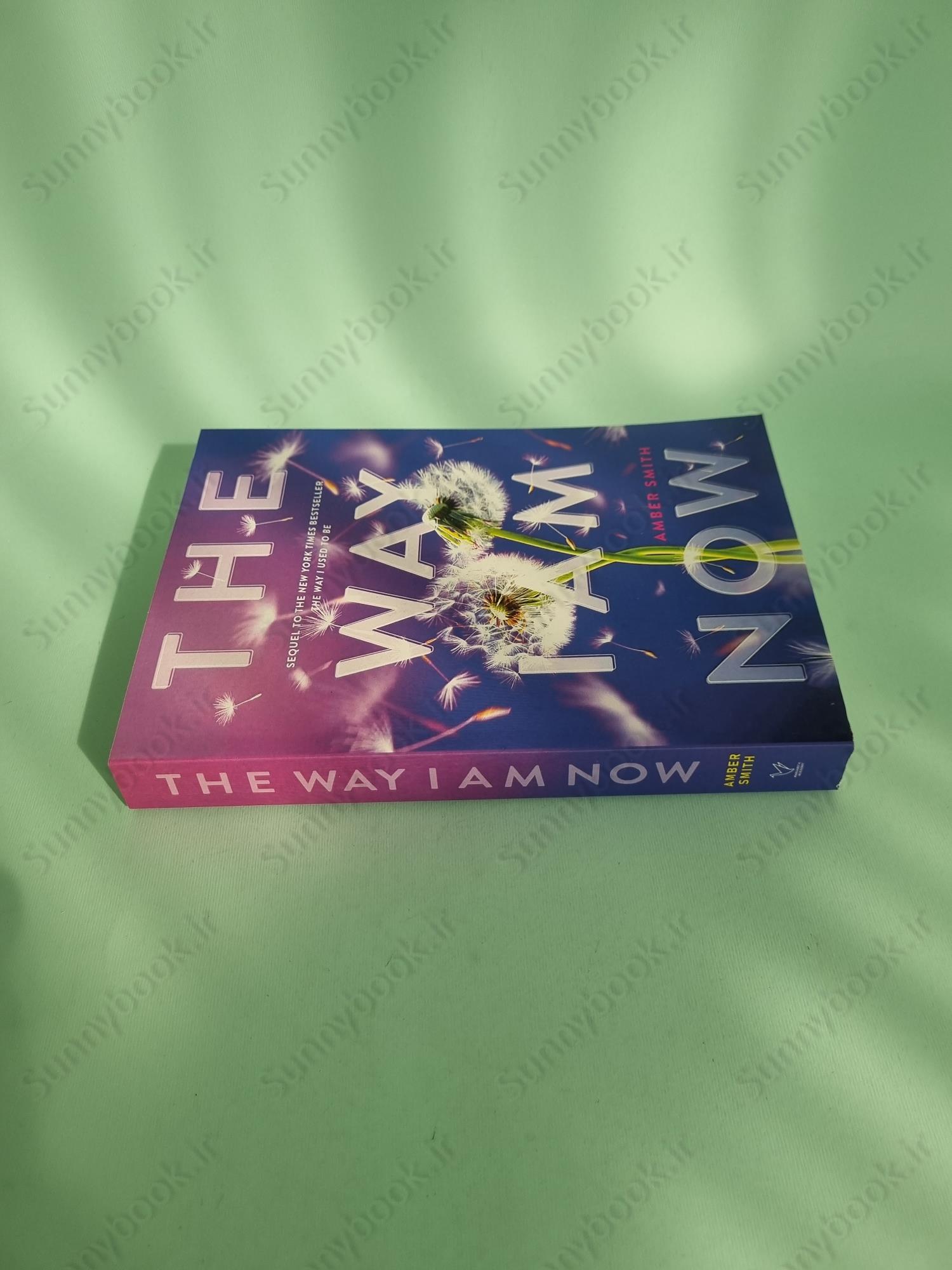 The Way I Am Now main 1 4