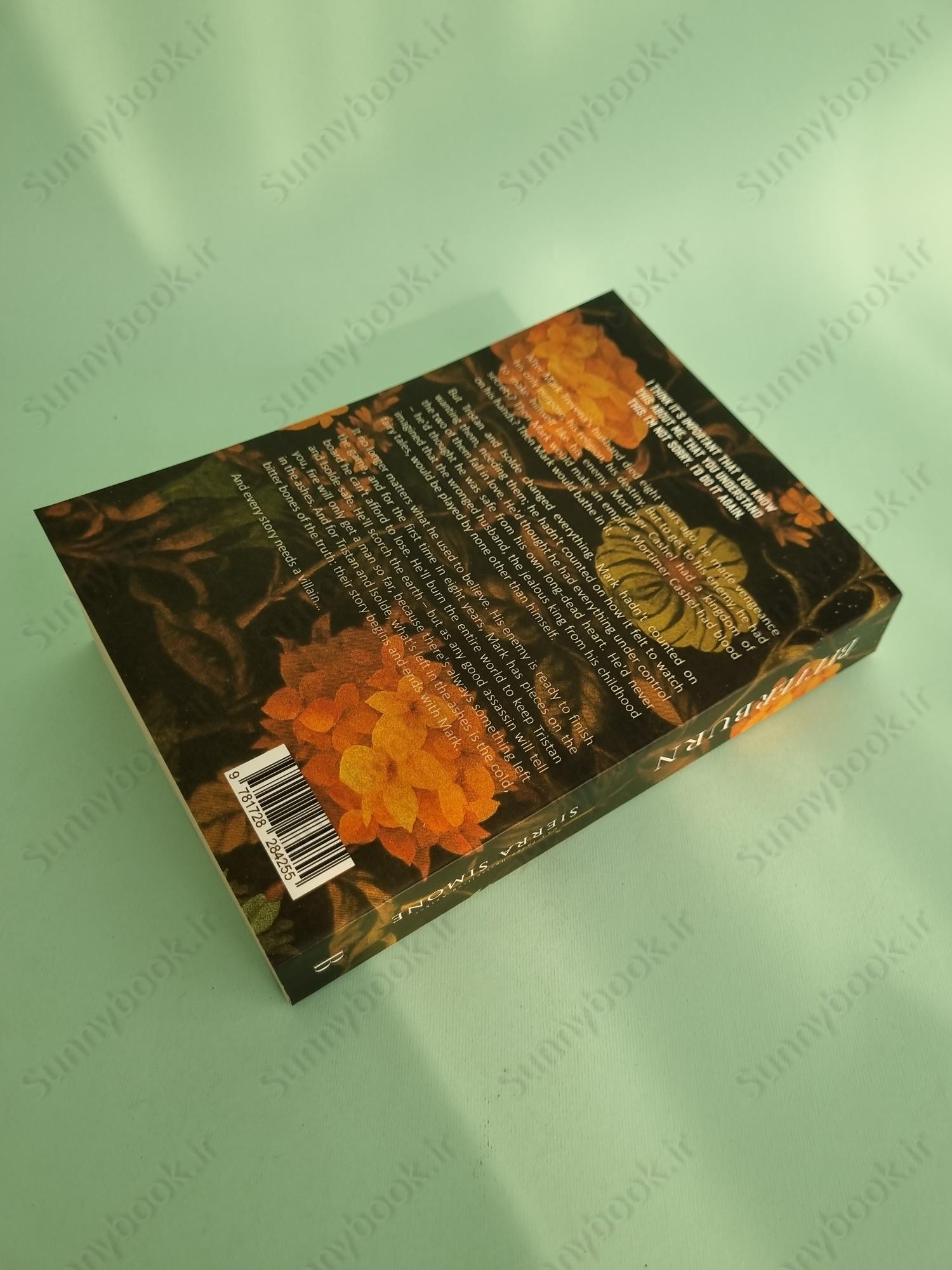 Bitter Burn (Lyonesse 3) main 1 5