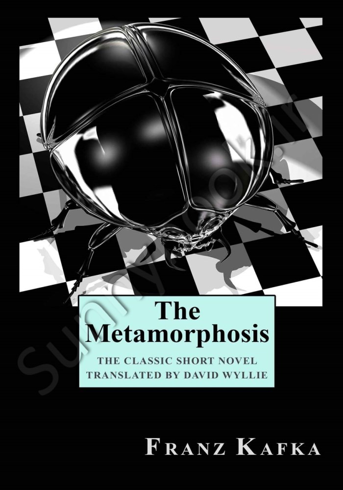 The Metamorphosis main 1 1