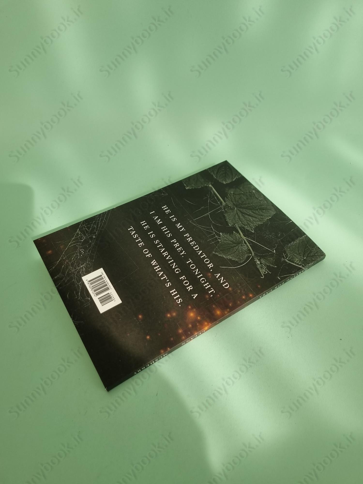 Carving for Cara (Wrecked Book 1) main 1 5