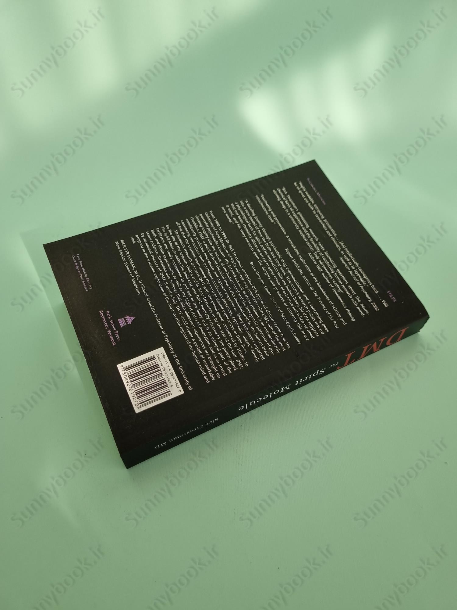 DMT: The Spirit Molecule main 1 5