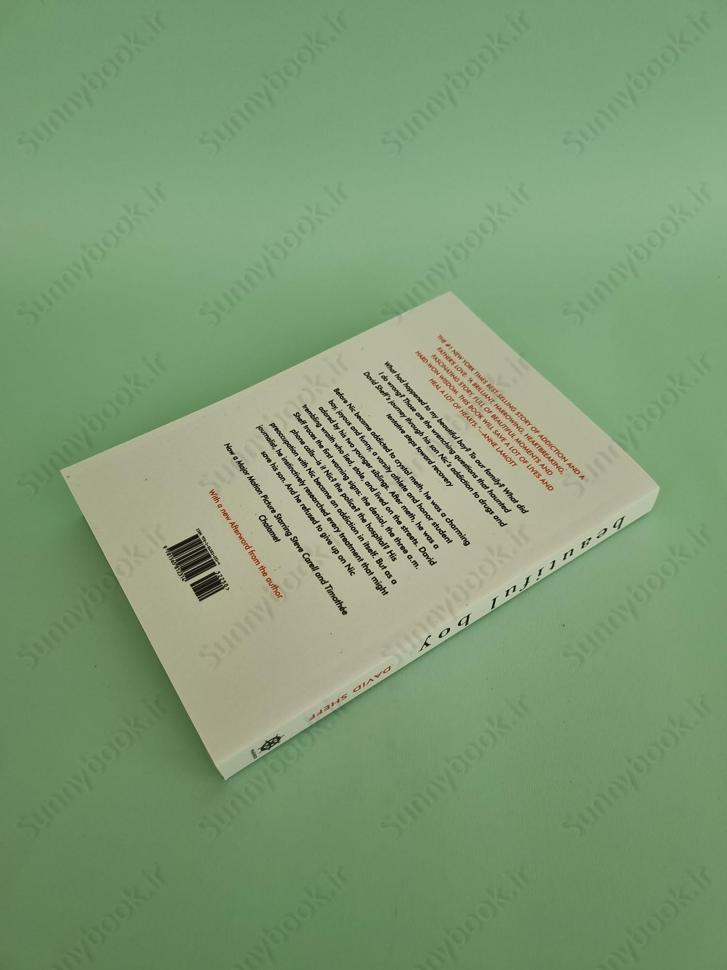 Beautiful Boy: A Father's Journey Through His Son's Addiction main 1 4