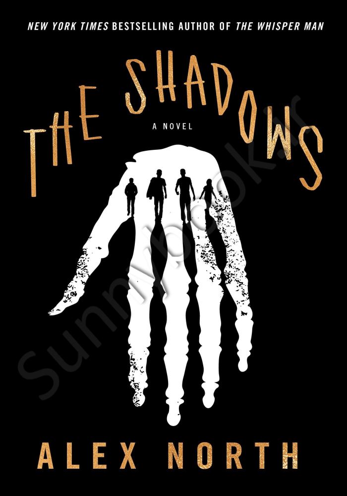 The Shadows main 1 1