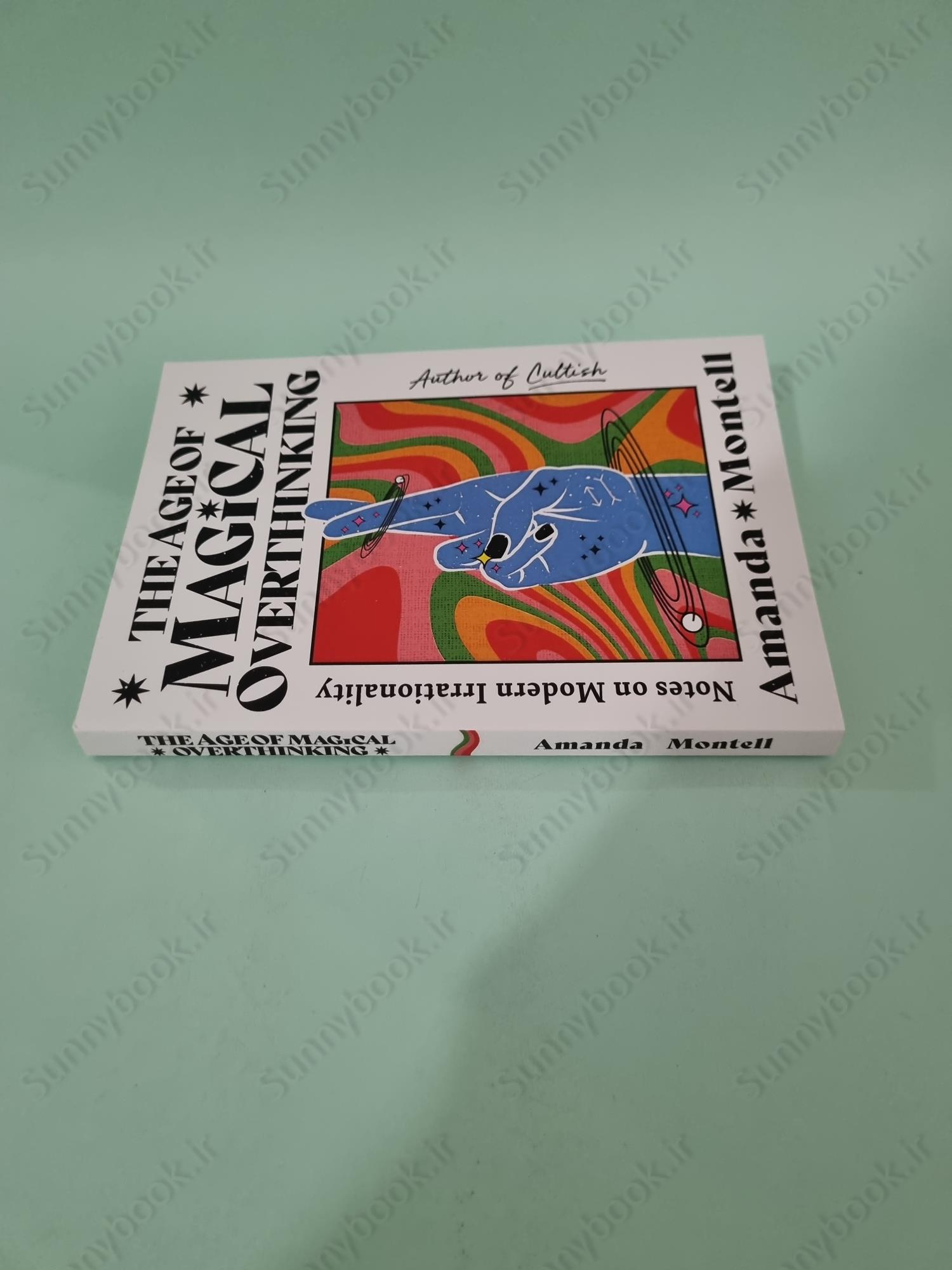 The Age of Magical Overthinking: Notes on Modern Irrationality main 1 4