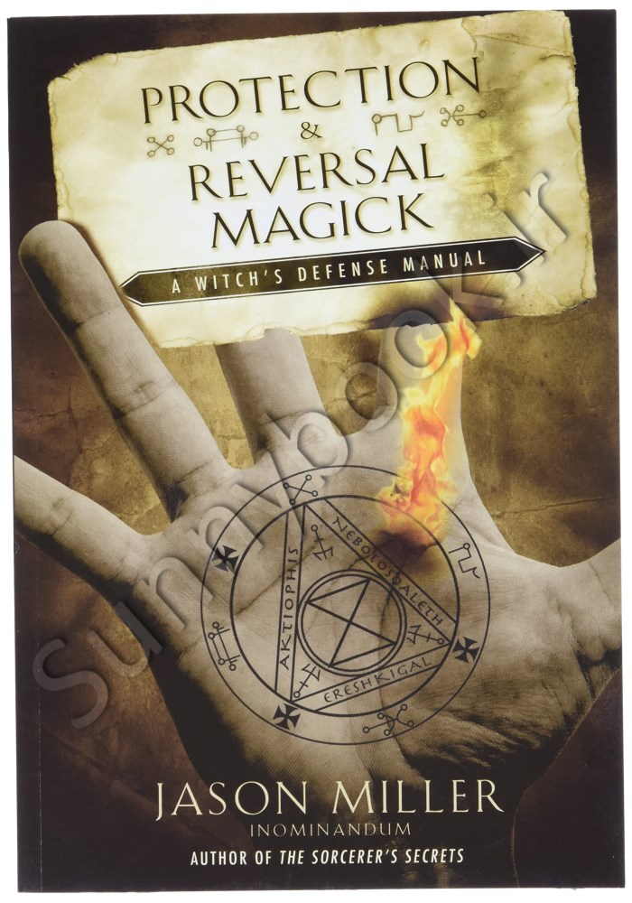 Protection & Reversal Magick: A Witch's Defense Manual (Beyond 101) main 1 1