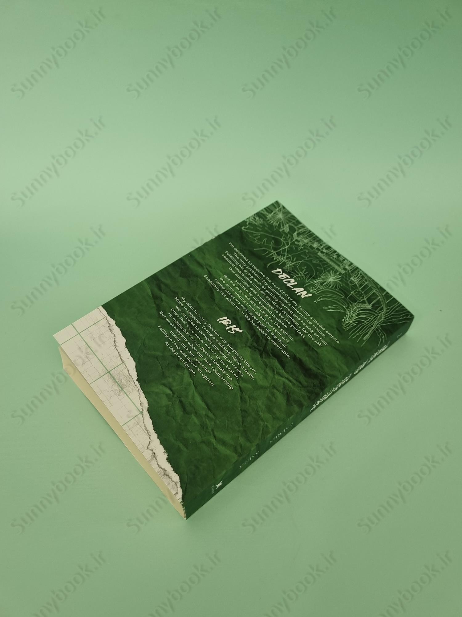 Terms and Conditions (Dreamland Billionaires 2) main 1 6